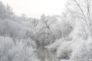 Winter landscape - river and frosty trees on shore