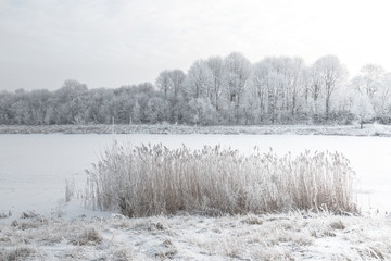 White winter landscape - snowy river and frosty trees on shore