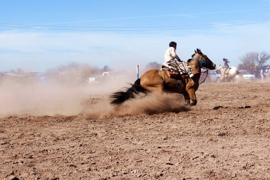 Jinete cabalgando en una doma de caballos.