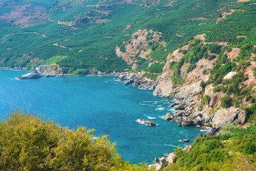 Fototapeta na wymiar Amazing blue lagoon with green banana plantation on the rocks (Turkey, Alanya).