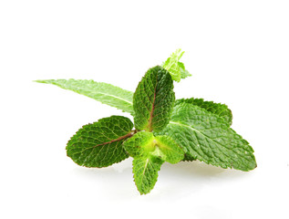 Fresh Mint Leaf Isolated On White Background