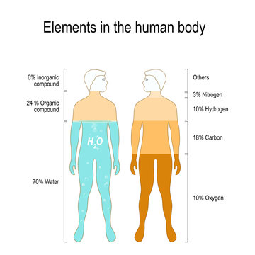 Elements of the Human Body