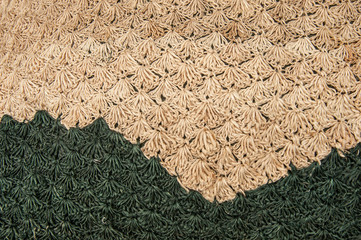 Textura natural 2
