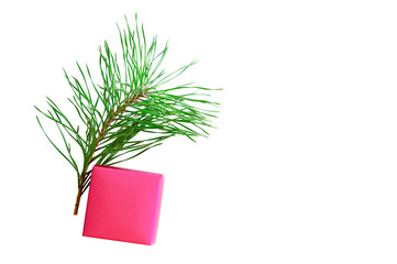 A branch of a Christmas tree and a small red box. White isolate