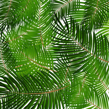 Palm Leaf Vector. Seamless pattern. Background Illustration EPS10