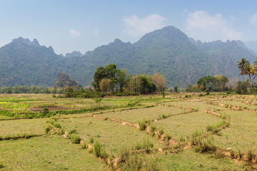 Beautiful view of rice paddies and karst limestone mountains near Vang Vieng, Vientiane Province, Laos, on a sunny day.