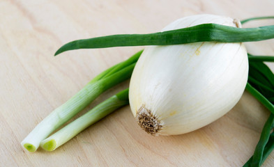 White bulb onion and spring onion