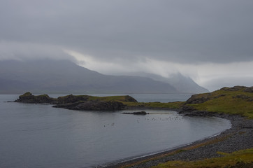 Fototapeta premium Panorama of Reydarfjordur, biggest fjord. Eastern Iceland.