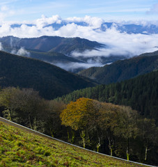 Fototapeta premium Clouds and mists in the mountains of Gipuzkoa from the natural park of Aiako Harriak