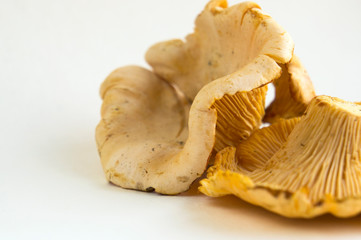 Chanterelle mushrooms on light surface. Raw ingredient. 