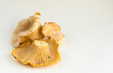 Chanterelle mushrooms on light surface. Raw ingredient. 