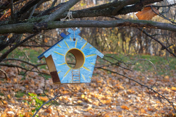 Bird Feeder in the autumn Park.