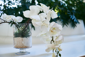 Decorative white sakura flower in a glass vase, close-up