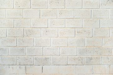 Obraz premium Brick textured wall background