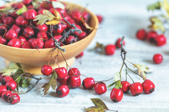 Autumn harvest Hawthorn berry with leaves in bowl on a light wooden table background