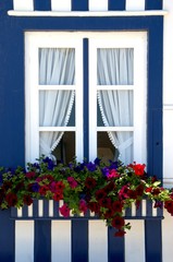 Blue & white window...