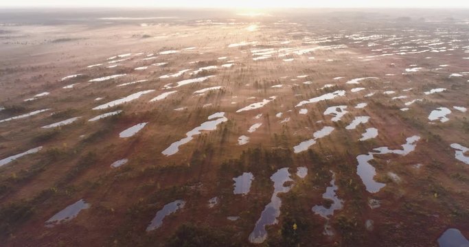 Aerial drone shot over foggy raised peat bog (mire) with small ponds in Ķemeri National Park, Latvia during sunrise