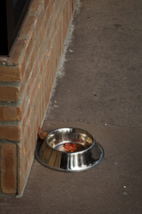 Dog water bowl in front of store