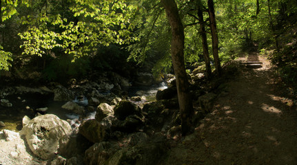 Section of the stream bed and walls in the Gorges de l'Areuses, Romandie