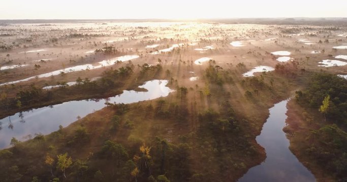 Aerial drone shot over foggy raised peat bog (mire) with small ponds in Ķemeri National Park, Latvia during sunrise