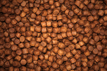 Dog food studio quality 