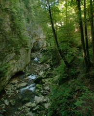 Section of the stream bed and walls in the Gorges de l'Areuses, Romandie
