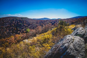 Fototapeta na wymiar Fall colors in Shenandoah