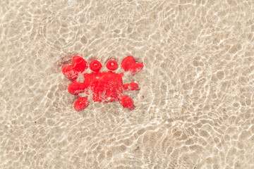 Toy red Hermit crab on sand under a shallow sea water with sunlight reflections on the surface of the water.