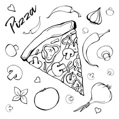 Sketch of pizza with different ingredients. Vector illustration
