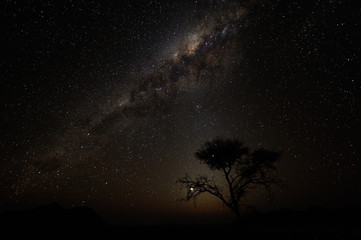 Milky way over the Namib desert