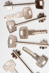 keys to the apartment. house keys