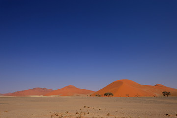 Fototapeta na wymiar Red dune in Sosussvlei