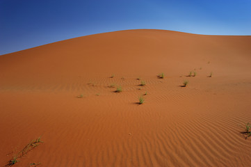 Fototapeta na wymiar Red dune in Sosussvlei