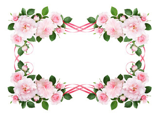 Pink rose flowers and silk waved ribbons in a floral frame