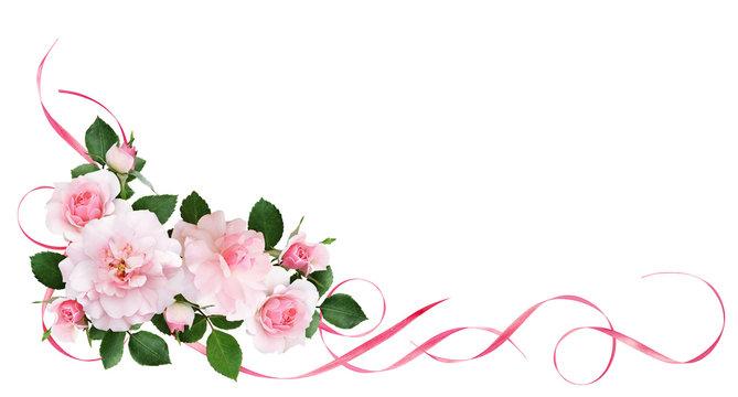 Fototapeta Pink rose flowers, satin ribbons and glitter confetti in a floral corner arrangement