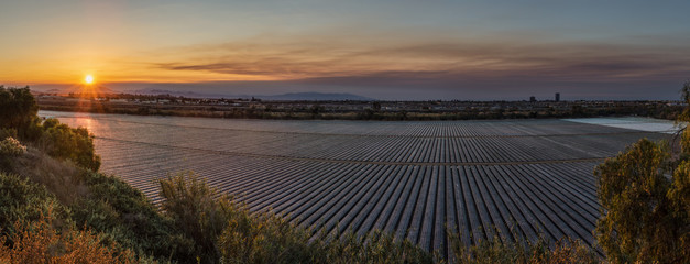 Fototapeta na wymiar Sky over the parrallel lines of the agriculture fields glows as sun begins to peek over the distant mountain ridges at dawn.