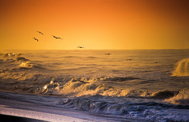 Playa Monte Rico