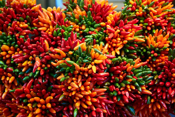 Naklejka na ściany i meble hot colorful chili pepper cooking macro