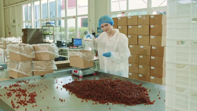 Candy factory. Factory worker packing candies.