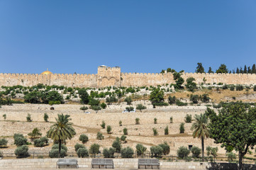 View from the Mount of Olives of the Golden Gate in Ierusalim