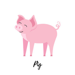 Cute piggy isolated. Domestic pig kid vector illustration