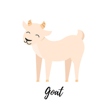 Cute goat kid isolated. Domestic animal vector illustration
