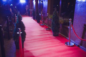 red carpet is traditionally used to mark the route taken by heads of state on ceremonial and formal...