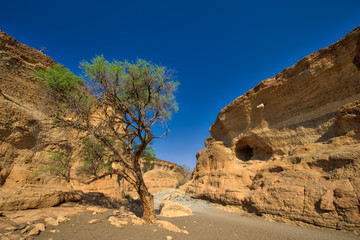 Sesriem canyon