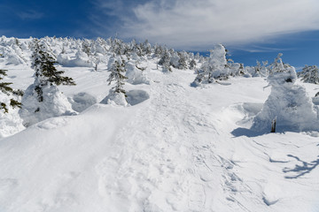 Fototapeta na wymiar 西吾妻山山頂付近の樹氷