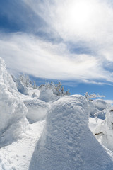 西吾妻山山頂付近の樹氷