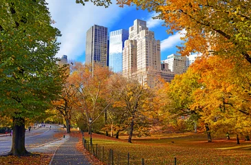 Zelfklevend Fotobehang Autumn foliage in Central Park, New York © nyker