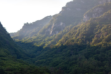 上高地　大正池　長野　信州　夏　旅行　観光　名所　明神池　河童橋