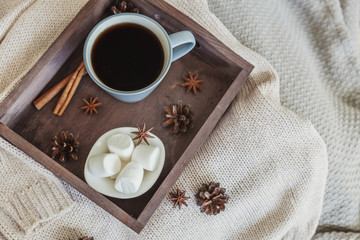 Cup coffee on rustic wooden tray sweet marshmallow pine cones cinnamon sticks. Cozy autumn or winter weekend or holidays at home. Fall home decoration with hot drink mug. Hygge morning style concept