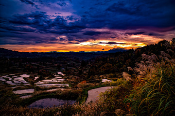 Naklejka premium 秋の新潟県・朝焼けにもえる星峠の棚田